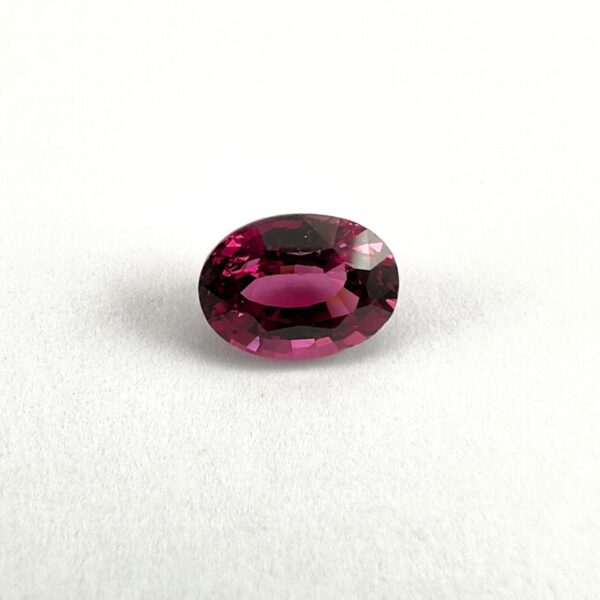 Garnet 1001